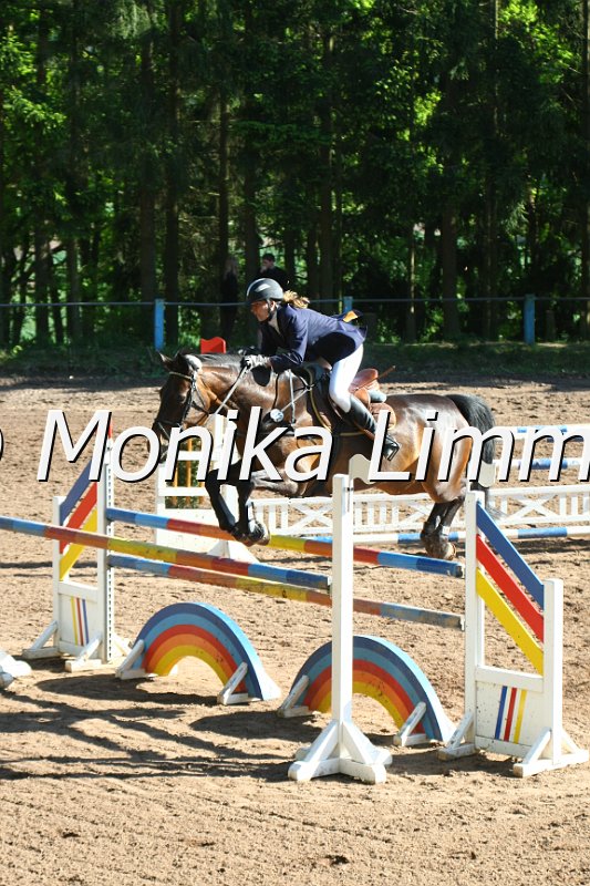 104M9045_Spring M_m.Stechen.JPG